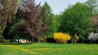 /album/fotogaleria/piestany2013-vign2-jpg/