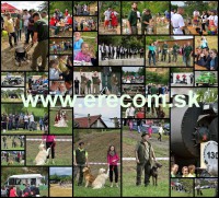 /album/fotogaleria/dvdzakcii-jpg/