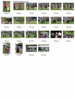 /album/fotogaleria/polovnpsy2web-jpg/