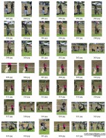 /album/fotogaleria/polovnpsy1web-jpg/