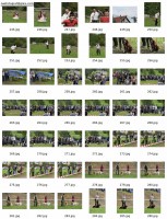 /album/fotogaleria/polovnpsy0web-jpg/