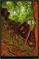 /album/fotogaleria/jaskyna-za-jpg/
