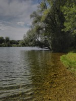 /album/fotogaleria/fin2017b-jpg/